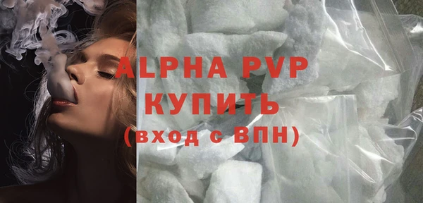молекула духа Козельск