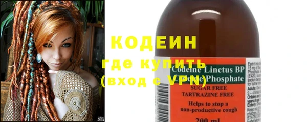 молекула духа Козельск