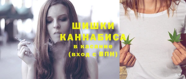 стаф Тольятти