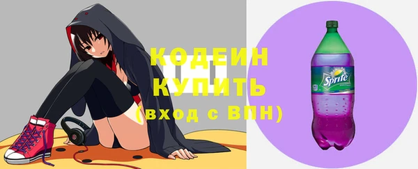 молекула духа Козельск