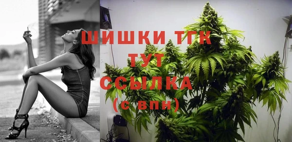 spice Козловка