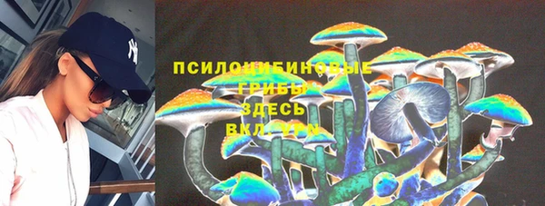 молекула духа Козельск