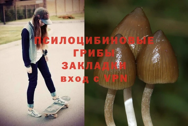 MDMA Premium VHQ Кодинск