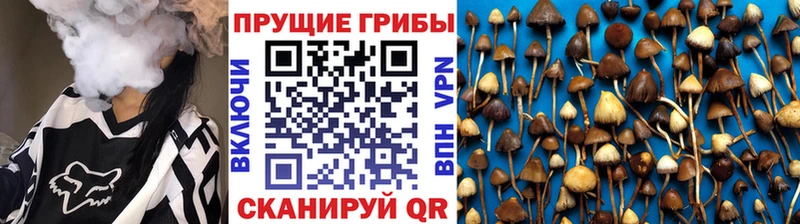 Галлюциногенные грибы мухоморы Новоуральск